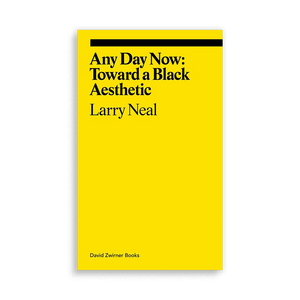 Any Day Now: Toward a Black Aesthetic