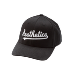 Aesthetics Baseball Hat by Lauren DiCioccio